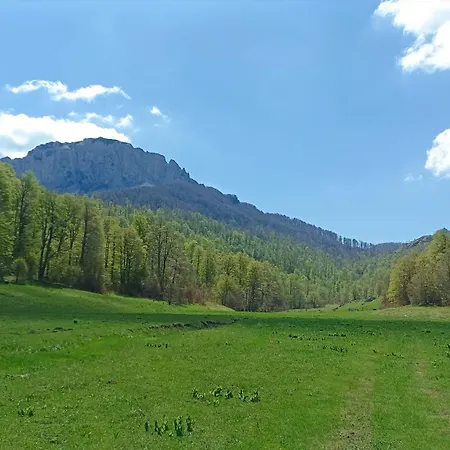 Apartamento Jelenaca *